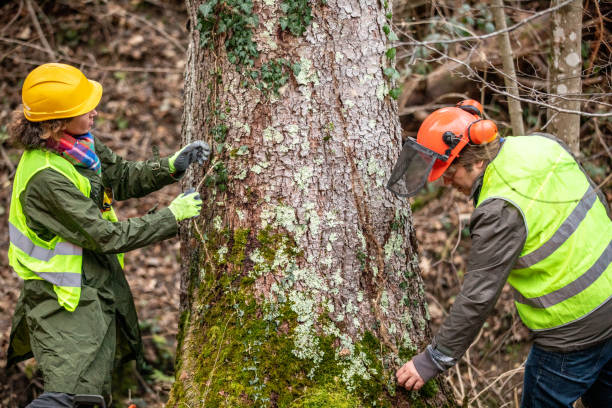 Coquille, OR Tree Services Company